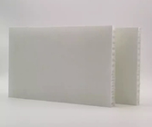 Dostosowany lekki panel o strukturze plastra miodu wzmocniony włóknem szklanym polipropylenowym do szalowania z tworzywa sztucznego